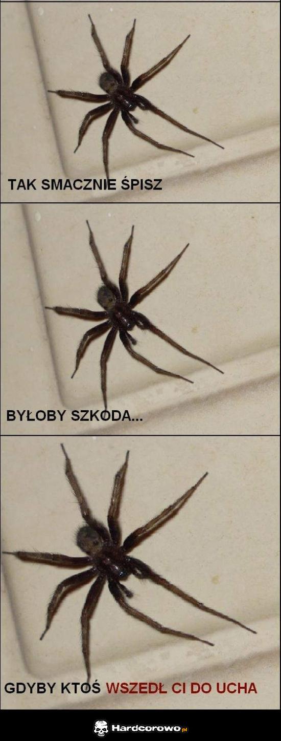 Smacznie śpisz - 1