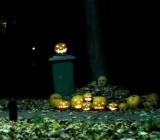 Mr. Pumpkin - Halloween (SA Wardega)