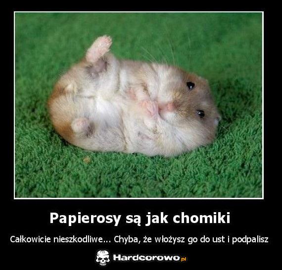 Papierosy są jak chomiki - 1