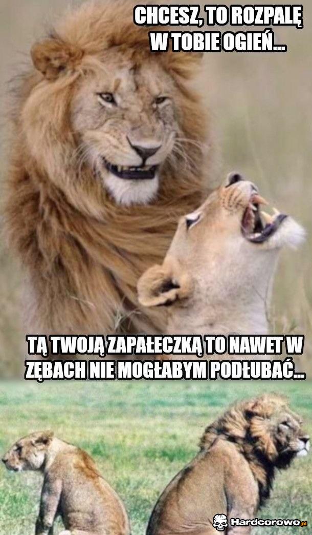 Kruche męskie ego, to klucz do spokoju samicy - 1