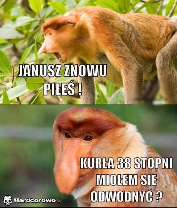 Kiedy Halynka się wkurzy - 1