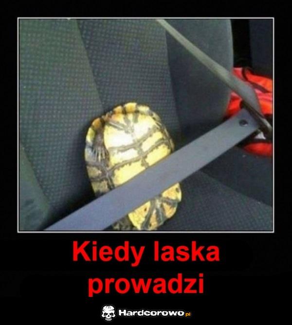 Bezpieczeństwo - 1