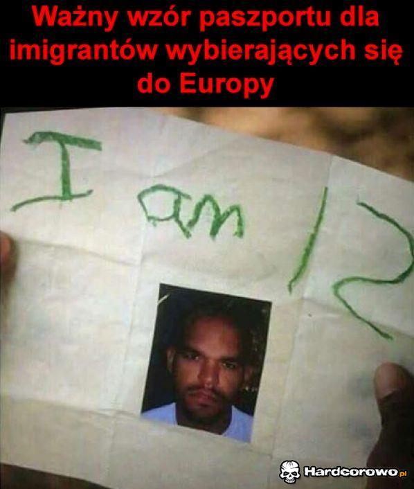 Wzór paszportu - 1