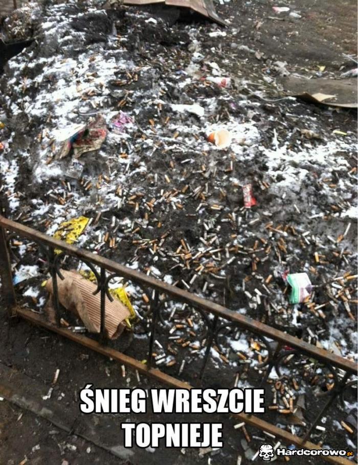 Śnieg wreszcie topnieje - 1