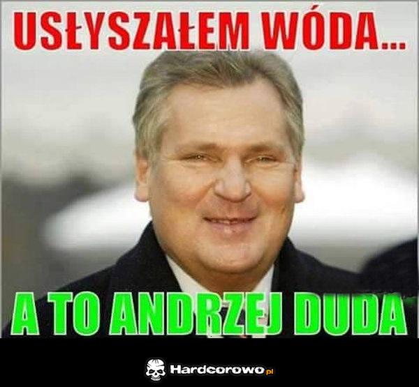 Duda - 1