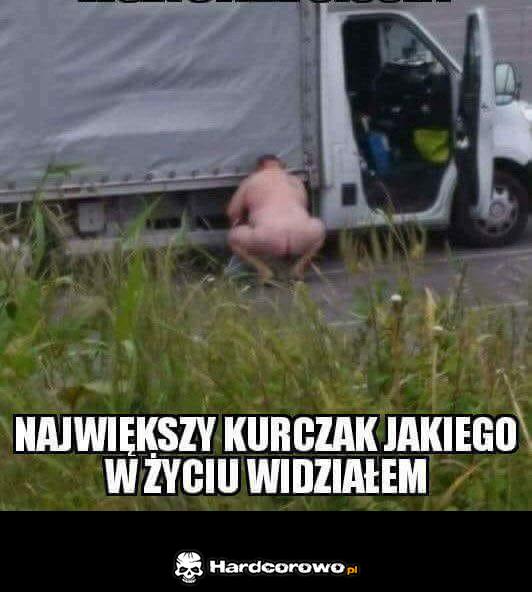 Duży kurczak - 1