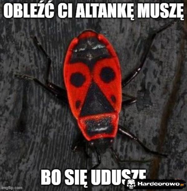  - 1