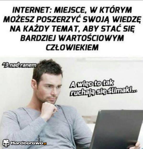 Internet  - 1