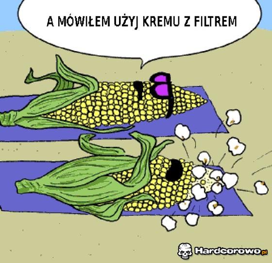 Kukurydze na plaży  - 1