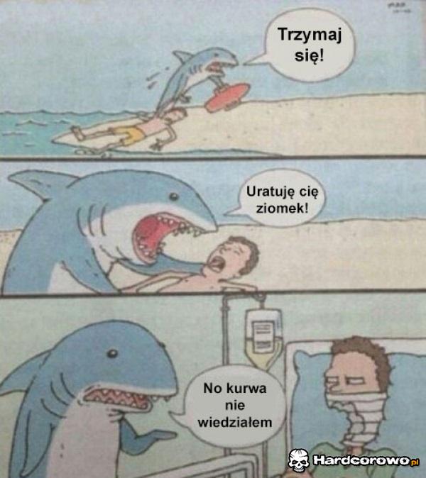 Rekin - 1