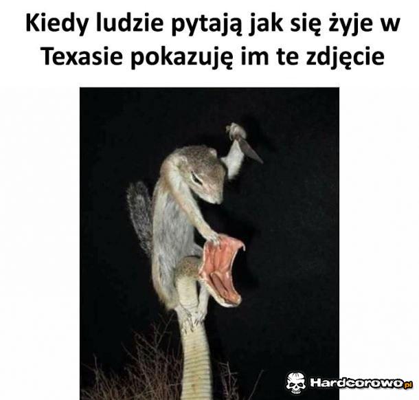 Życie w Texasie - 1