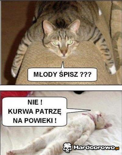 Młody śpisz? - 1