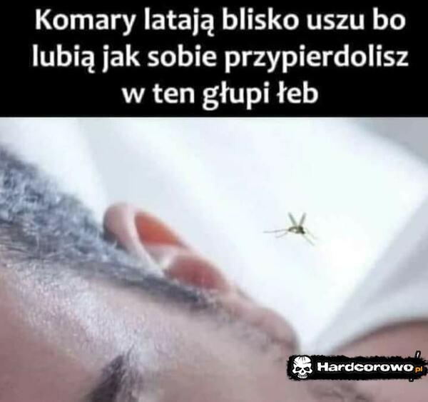  - 1