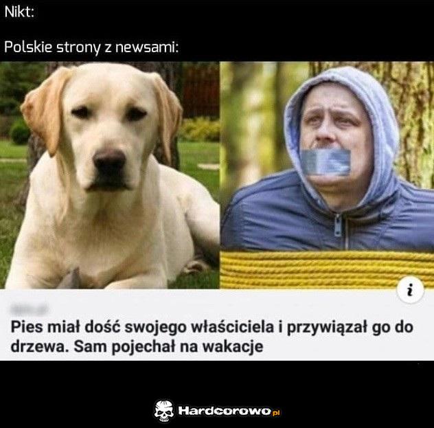 Polskie strony z newsami - 1