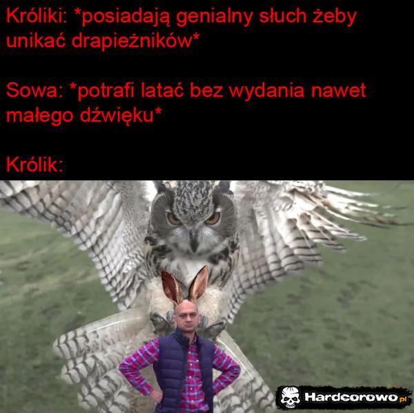  - 1