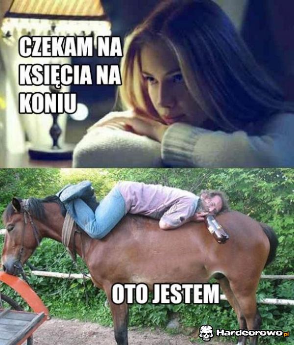 Logika lasek - 1