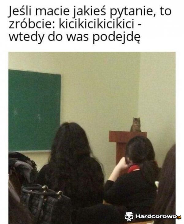 Kitku nauczyciel - 1