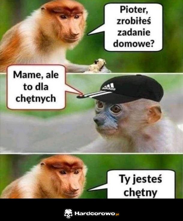 Zadanie dla chętnych - 1