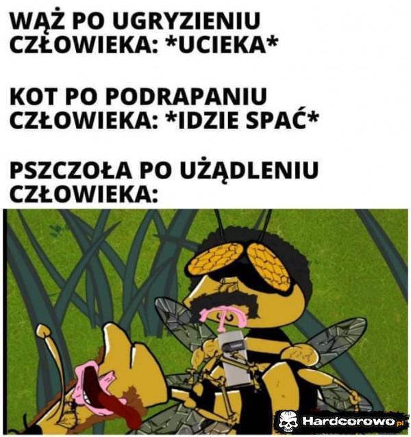  - 1