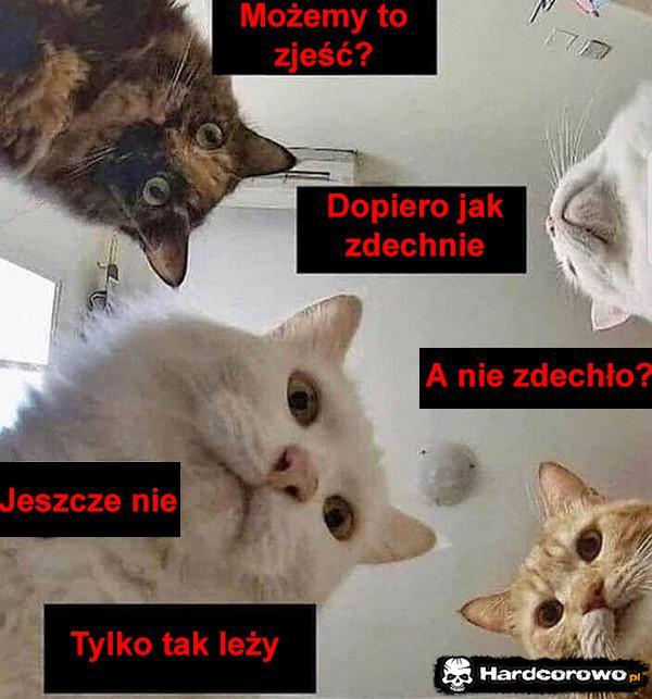  - 1
