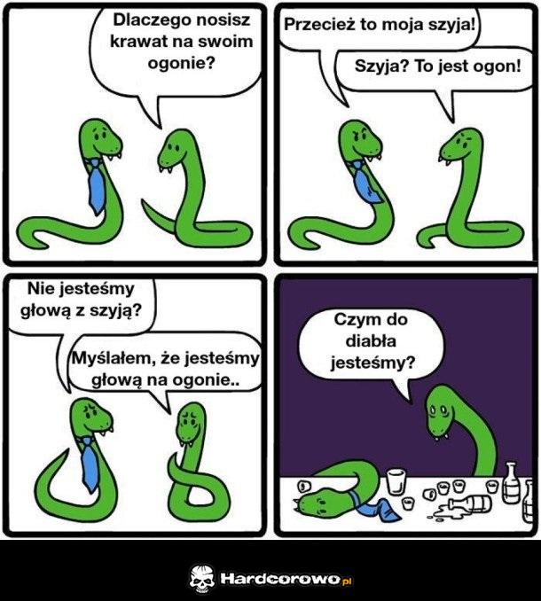 Problemy węży - 1