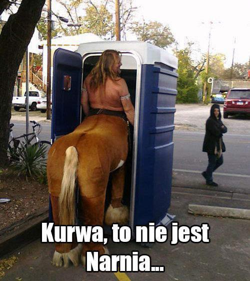 Kurwa to nie jest narnia - 1