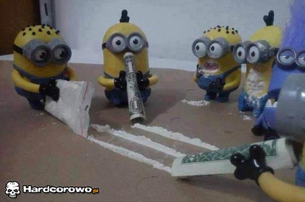 Minionki szaleją - 1