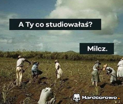 A ty co studiowałaś? - 1