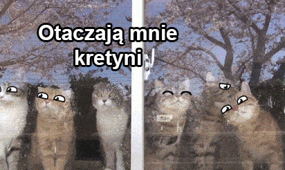 Otaczają mnie kretyni - 1