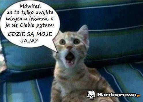 Wizyta u lekarza - 1
