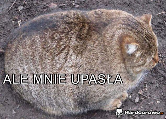 Ale mnie upasła - 1