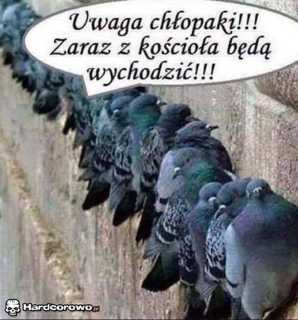 Załadować! - 1