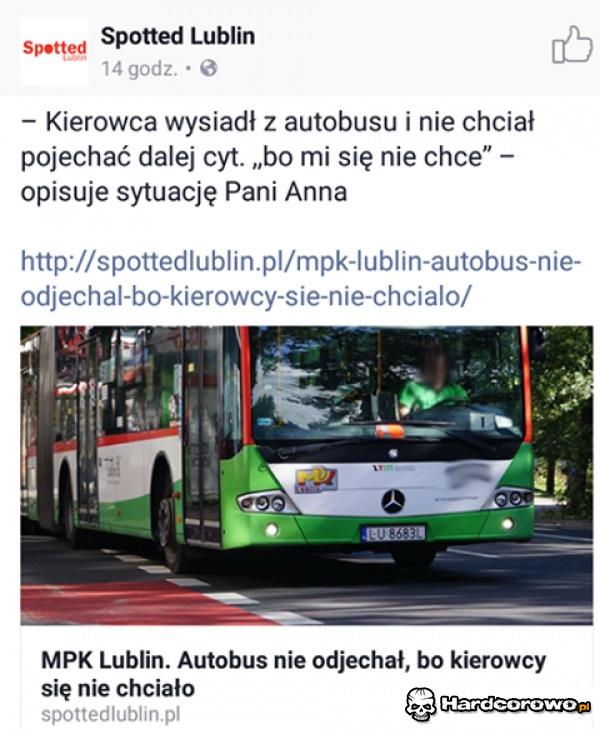 Kierowca autobusu - 1