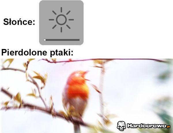 Poranek - 1