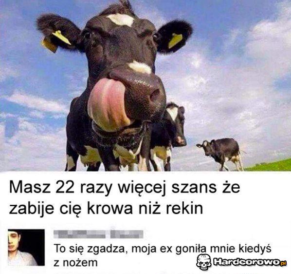 To już potwierdzone - 1