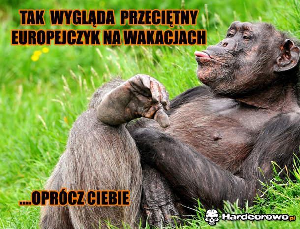 Na wakacjach - 1