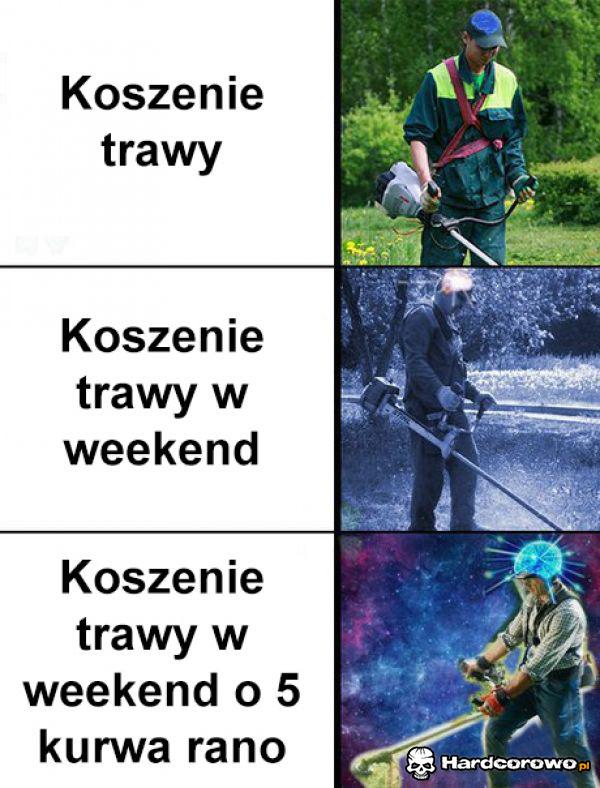 Koszenie trawy - 1