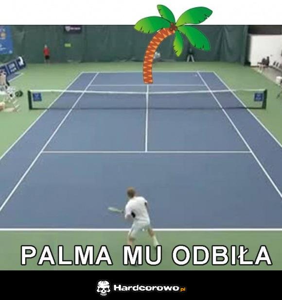 Palma - 1
