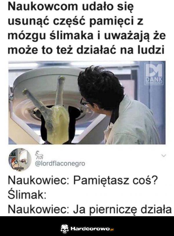 Naukowcy - 1