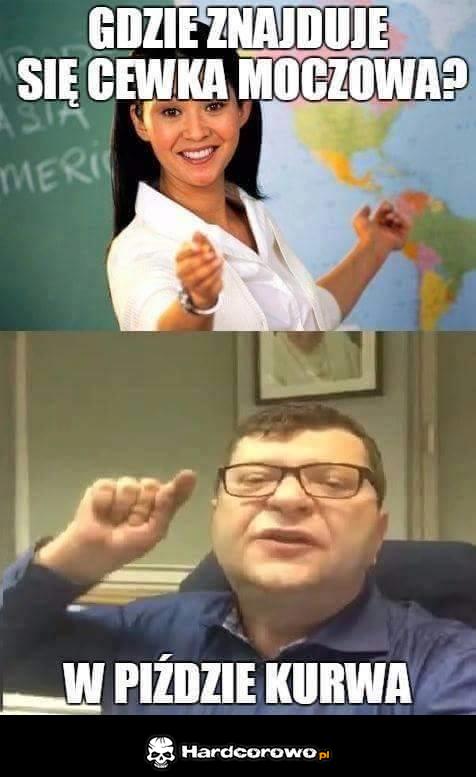 Gdzie znajduje się cewka moczowa? - 1