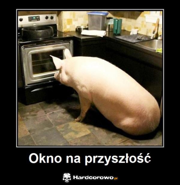 Okno na przyszłość - 1