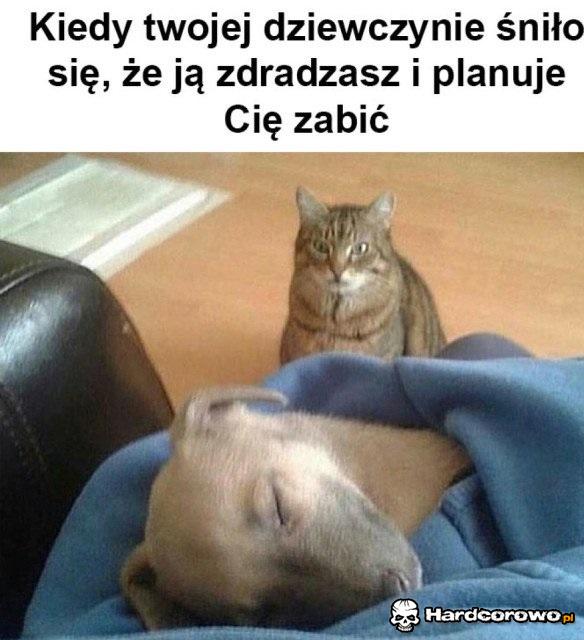 Dziewczyna planuje morderstwo - 1