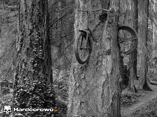 Drzewo rowerowe - 1