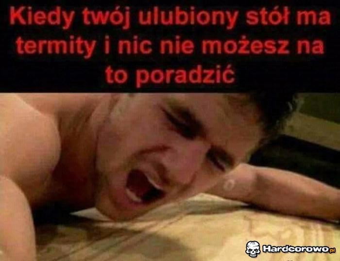 Termity - 1