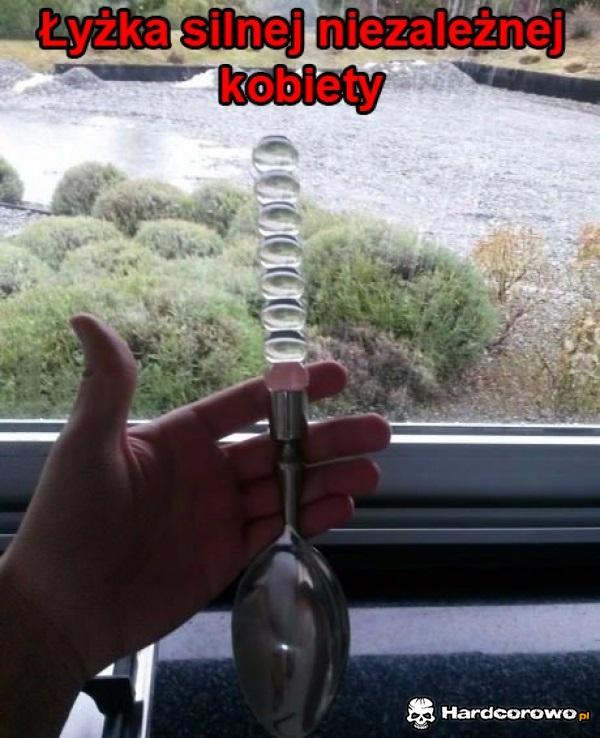 Wsadź se łyżkę - 1