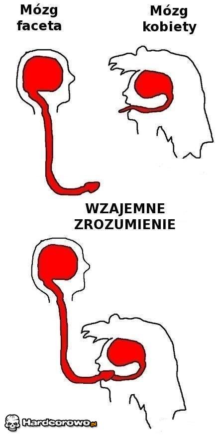 Wzajemne zrozumienie  - 1