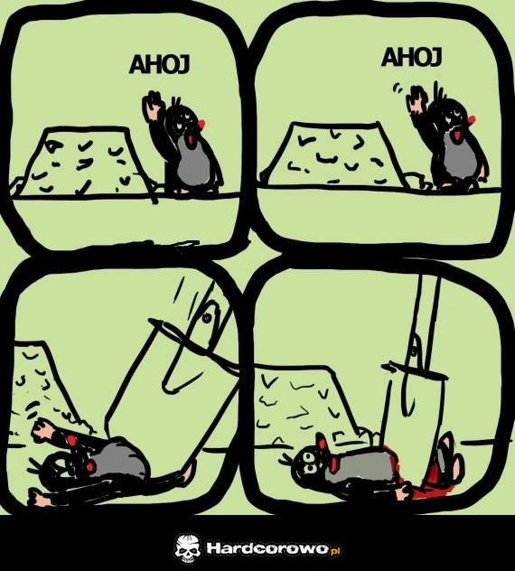 Przygody krecika - 1