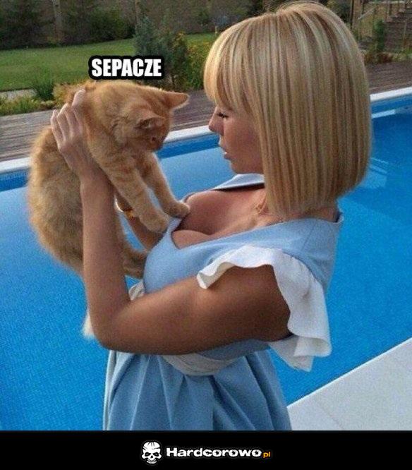 Se pacze - 1