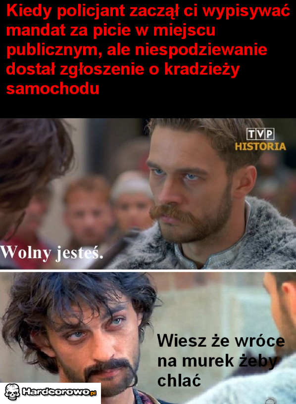 Kontrola Policyjna - 1
