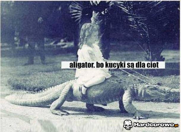 Aligator - 1